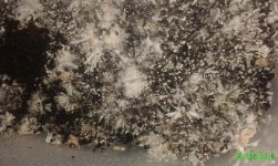 20160805_120335.jpg