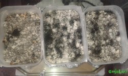 20160807_143146.jpg