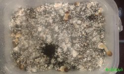 20160807_143138.jpg