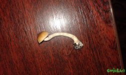 20160808_095352.jpg