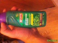IMG_3499.JPG IMG_3499.JPG
