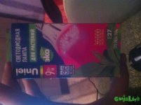 IMG_3519.JPG IMG_3519.JPG