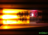 IMG_3575.JPG IMG_3575.JPG