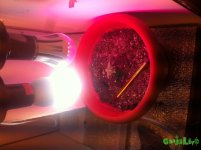 IMG_3576.JPG IMG_3576.JPG