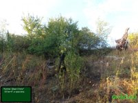 поляна дядя степка.jpg