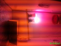 IMG_3638.JPG IMG_3638.JPG