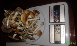 20160823_112923.jpg