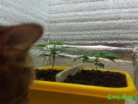 20160826_085737.jpg