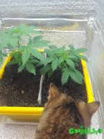 20160830_084230.jpg