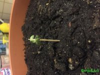 image-31-08-16-22-17.jpeg