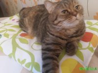 20160901_191355.jpg
