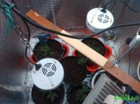 вид сверху.jpg