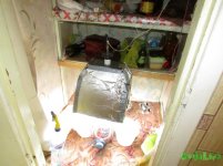 IMG_1647.jpg