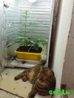 20160906_131527.jpg