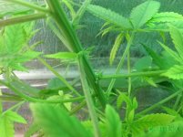 IMG_20160906_235929.jpg