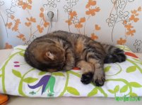 20160907_134625.jpg