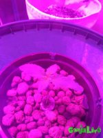 P_20160910_060558.jpg