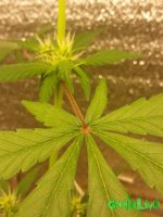 20160910_094401.jpg
