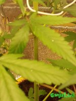 20160910_094412.jpg