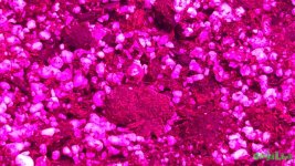 20160914_153141.jpg