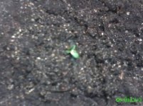 20160915_061752.jpg