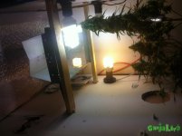 IMG_3749.JPG