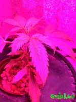 P_20160921_085127_1_p.jpg
