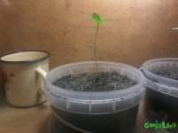 20160924_095826.jpg