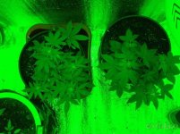 1 и 2 сверху.jpg