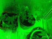 простие 2.jpg