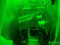 общий вид.jpg