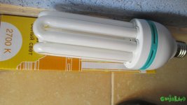 IMG_3896.JPG