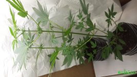 20161001_051000.jpg