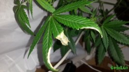 20161003_152255.jpg