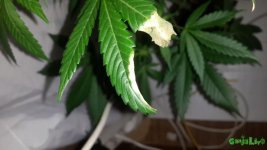 20161003_152304.jpg