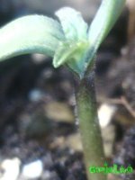 IMG_20161006_174909.jpg