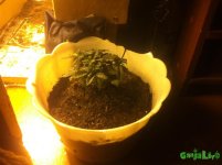 IMG_0806.JPG
