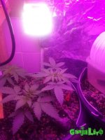 20161009_104756.jpg