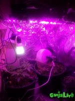 20161009_104749.jpg
