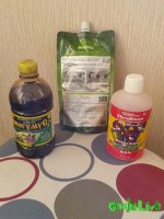 20161017_104143.jpg