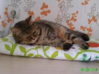20161021_105205.jpg