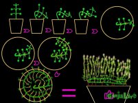 trenitovka dzagi6(1).jpg