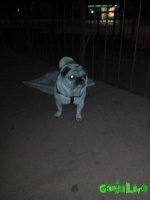 IMG_20161027_235328.jpg