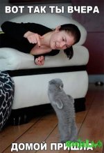 FB_IMG_1478186057095.jpg