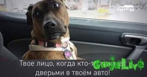FB_IMG_1478246692966.jpg