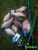 IMG_20161104_131505.jpg IMG_20161104_131505.jpg