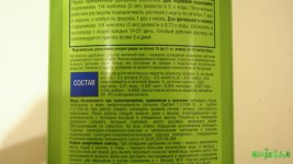 PB061926.JPG