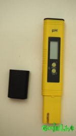 PB061928.JPG