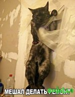 FB_IMG_1478612606658.jpg
