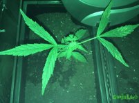 IMG_2016-11-09 00:08:45.jpg